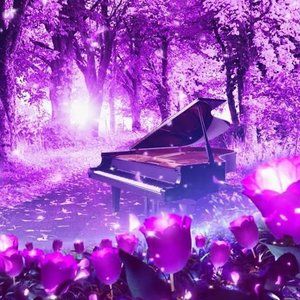 Meet your Posher, Lilly R